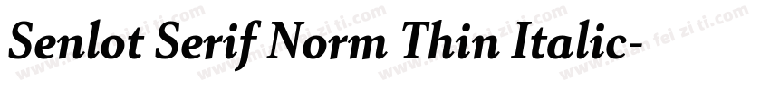 Senlot Serif Norm Thin Italic字体转换